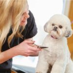 iStock-468416718