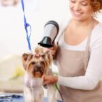 iStock-495016656