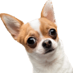 iStock-462392661